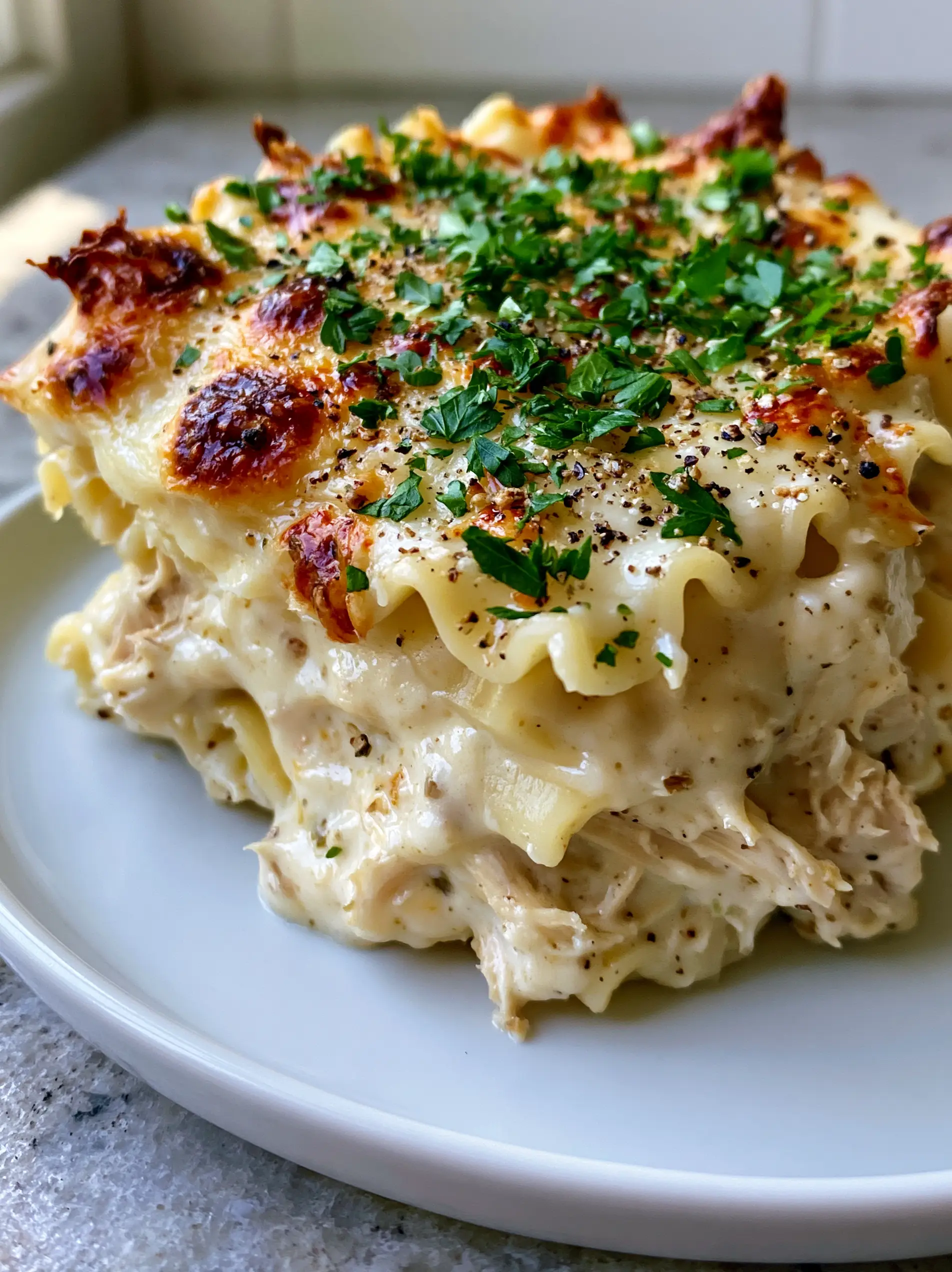 Close up photo of stable lasagna layers showing thick ivory garlic sauce and shredded chicken. (Chicken Alfredo Lasagna)